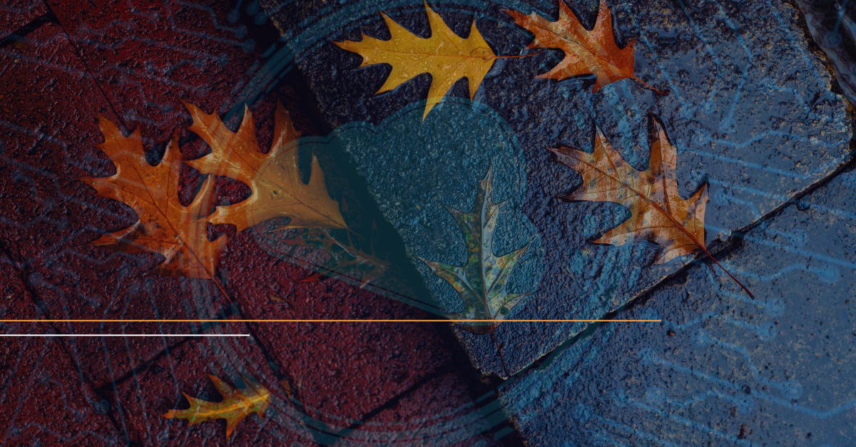 Oct 31 Broadcom VMware Changes