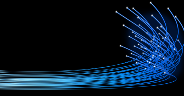 Building Digital Ecosystems